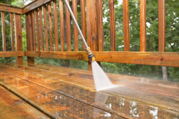 Best Solar Panel Cleaning  in Lawtey, FL
